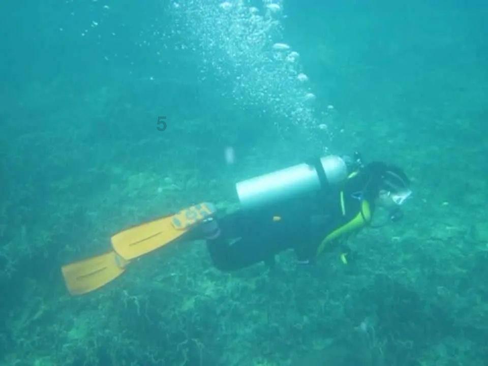 哈哈体育官方入口